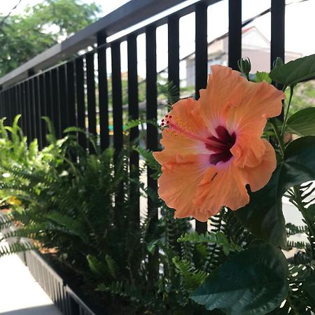 La An Homestay 호이안 외부 사진