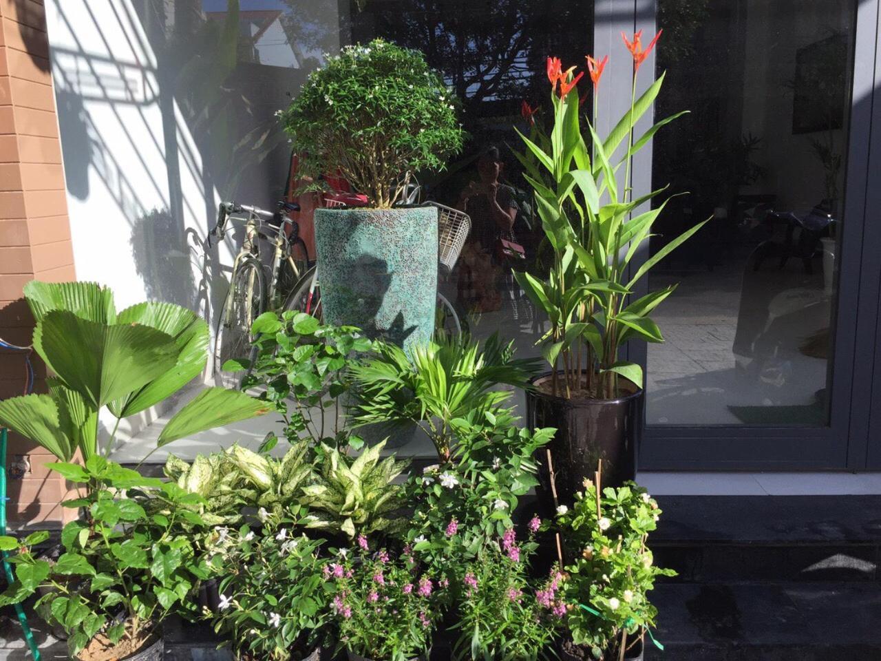 La An Homestay 호이안 외부 사진