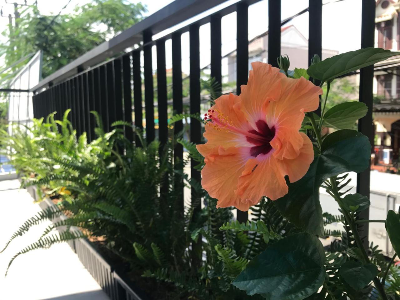 La An Homestay 호이안 외부 사진