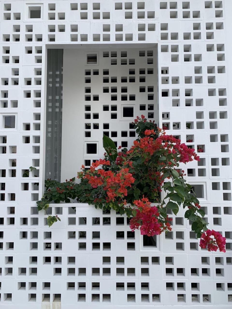 La An Homestay 호이안 외부 사진
